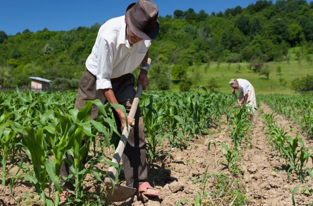Agricultura