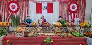 Comerciantes de Mercado Mayorista realizaron exhibición de productos