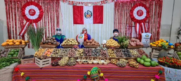 Comerciantes de Mercado Mayorista realizaron exhibición de productos
