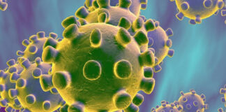 Misterios del coronavirus que intentan resolver los especialistas Coronavirus
