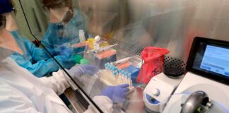 Coronavirus infecta a 337, 724 y mata a 12,417 personas coronavirus