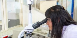 carreras universitarias