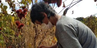 Agricultores