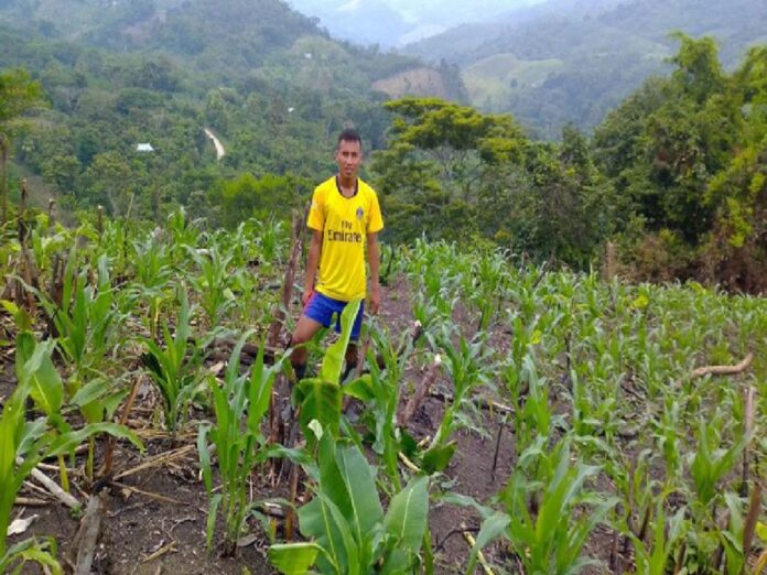 Agricultor