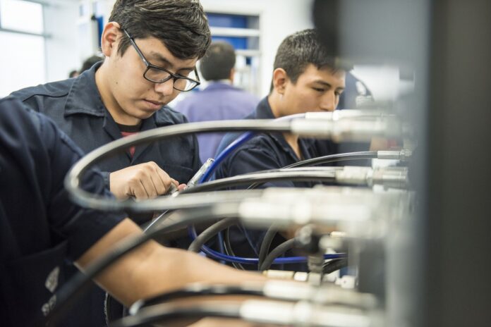 Institutos públicos