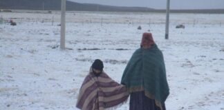 81 distritos del Perú en riesgo por bajas temperaturas Temperatura