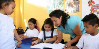 Docentes