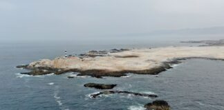 Punta Coles