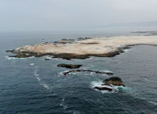 Punta Coles