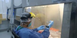 Usan pruebas hechas en el Perú para diagnosticar la COVID-19