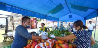 En estos distritos se instalarán mercados ‘De la chacra a la olla’ De la chacra a la olla