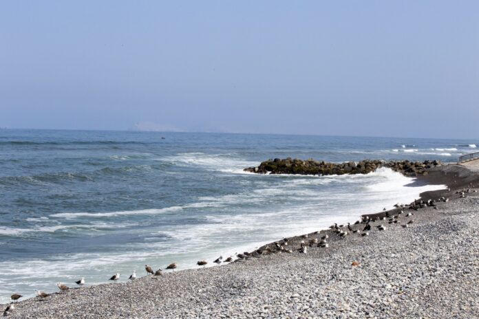 Playas