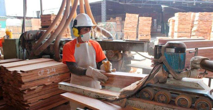 puestos de trabajo