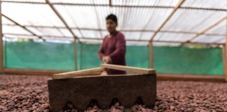 Cacao y Chocolate