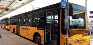 Alimentadores del Metropolitano