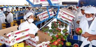 Economía peruana se recupera rápidamente Reactivación economica