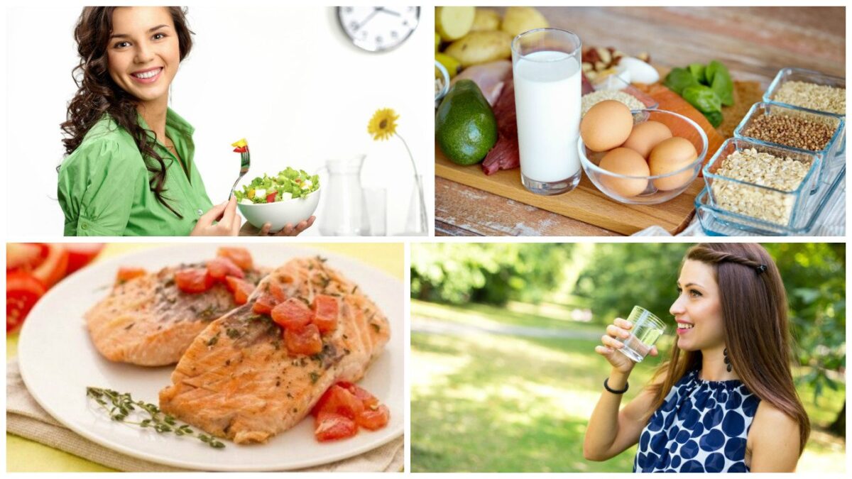 Alimentación