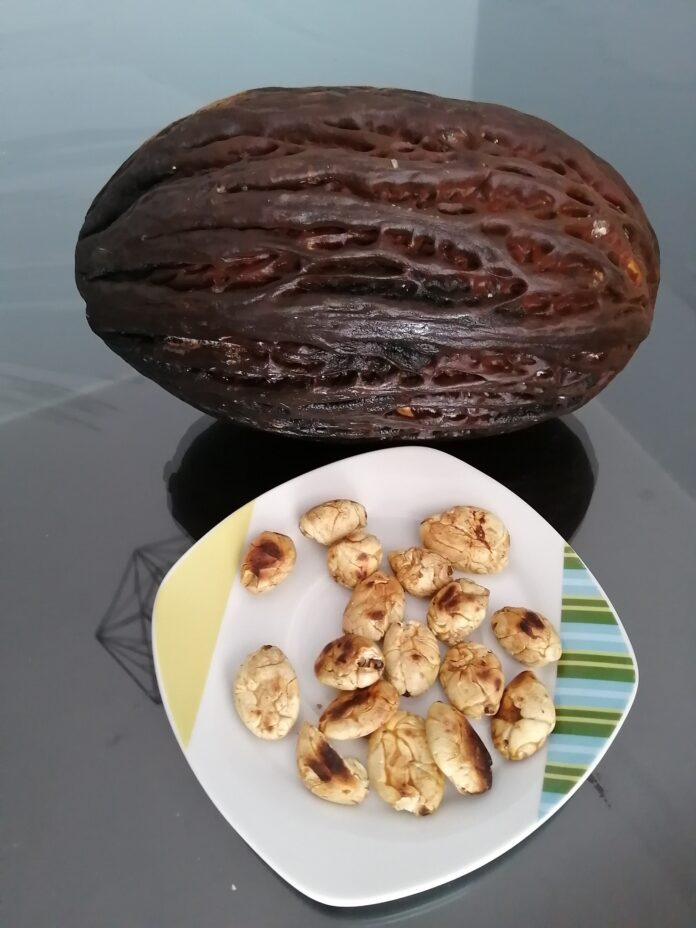 Macambo