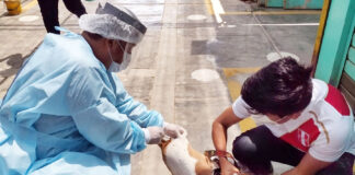 Gobierno Regional del Callao inicia campaña contra la rabia