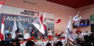 Regidores metropolitanos critican renuncia de muñoz a AP Acción Popular