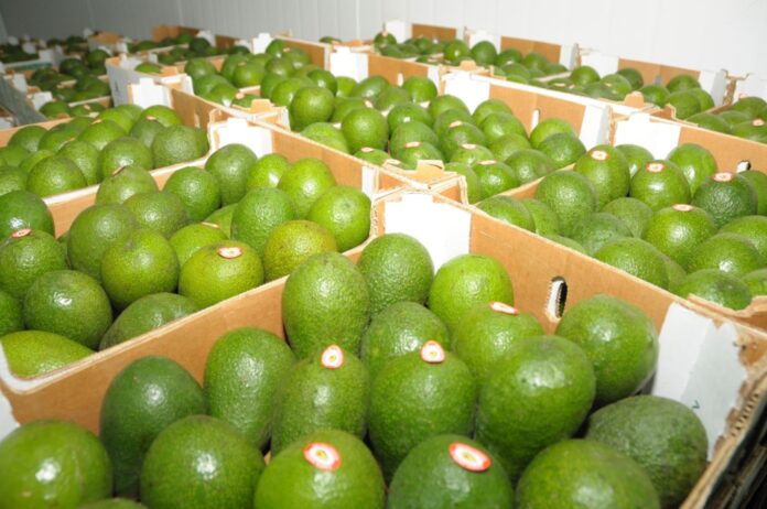 Exportaciones