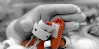 El 10.9 % de nacimientos en el INMP son prematuros