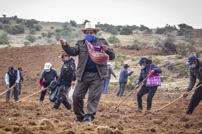 Productores agropecuarios