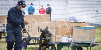Brigada Canina de la Municipalidad de Lima