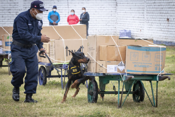 Brigada Canina de la Municipalidad de Lima