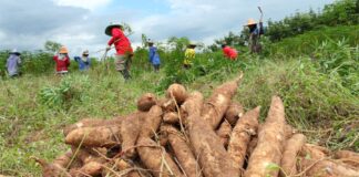 productores del agro
