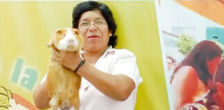 Sopa de cuy: Una alternativa milagrosa para incrementar el sistema inmunológico Ing. Zoot. Yuli Vilma Villanueva Quispe