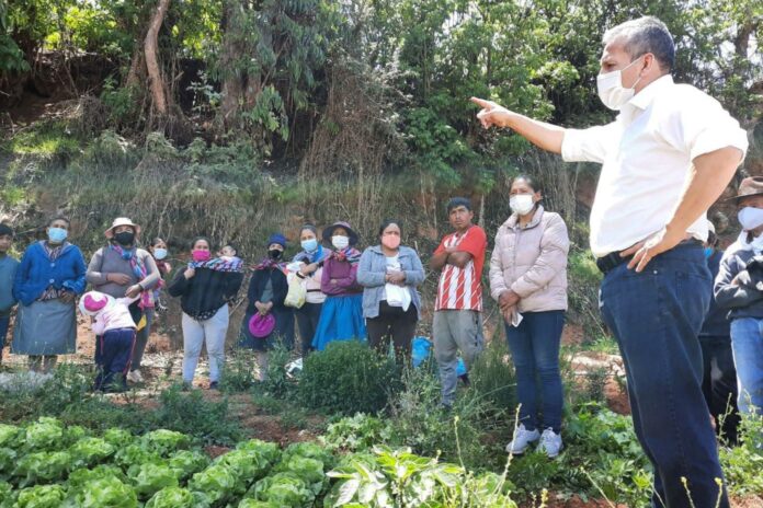 Ollanta Humala Tasso