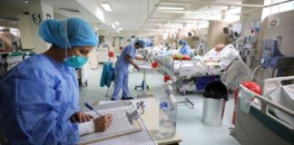 Personal de salud