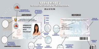 Minedu lanzará este 2021 carné especial para estudiantes de institutos