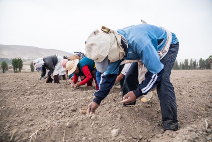 Productores agropecuarios