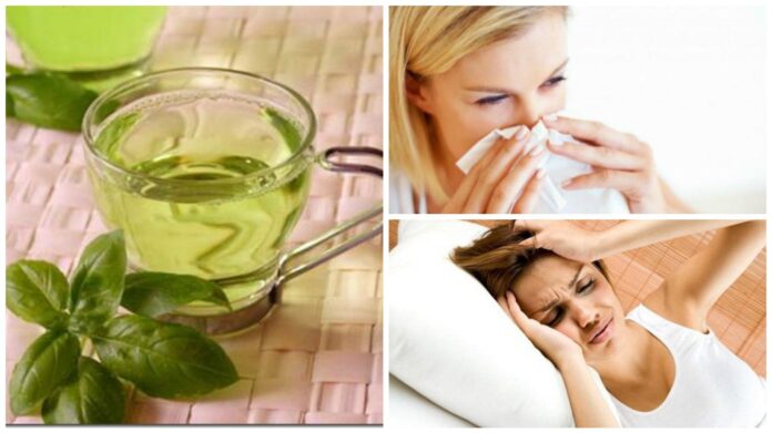 Remedios naturales
