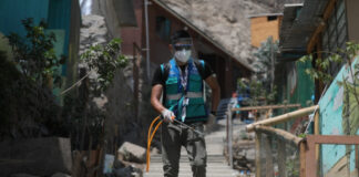 Realizan desinfección en asentamientos de SJL