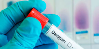 Dengue