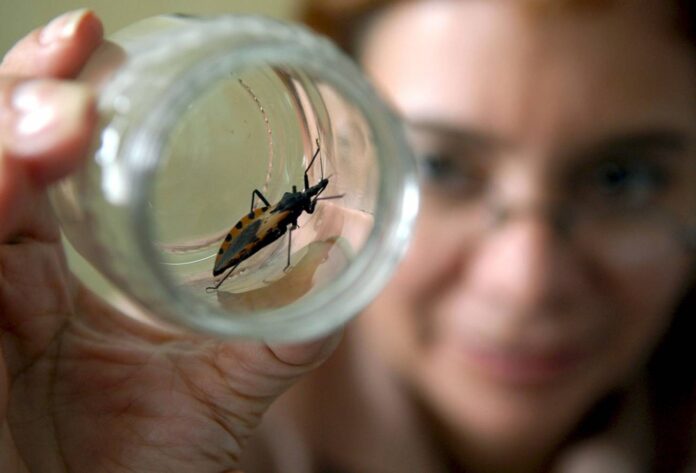 Enfermedad de Chagas
