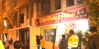 Terror en la pollería