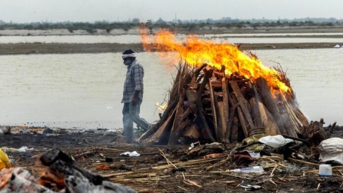 Decenas de cadáveres más aparecen en el río Ganges