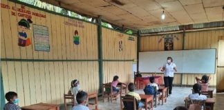 Docentes