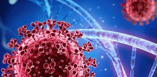 Coronavirus