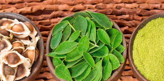 Moringa
