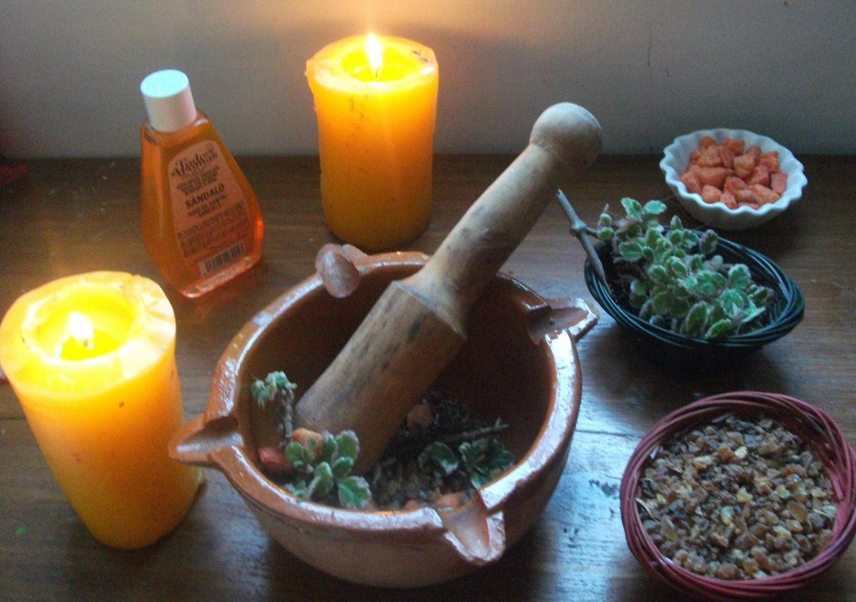 Hechizos con albahaca