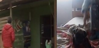 Cobardes agreden a pequeña para arrebatarle su mascota