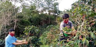 agricultores