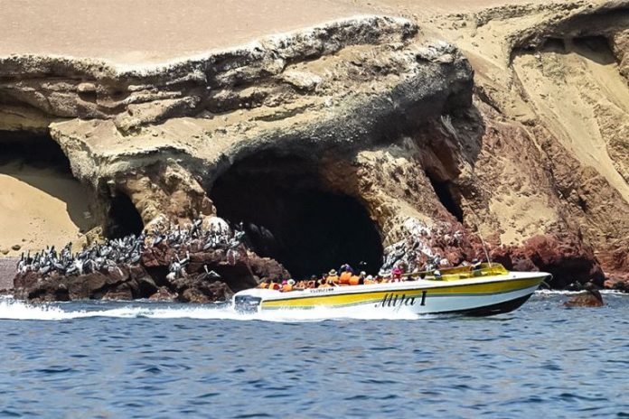 Reserva Nacional de Paracas