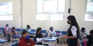 Docentes