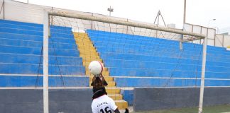 “Guaulesse”: perro de Brigada Canina de Magdalena deslumbra de arquero